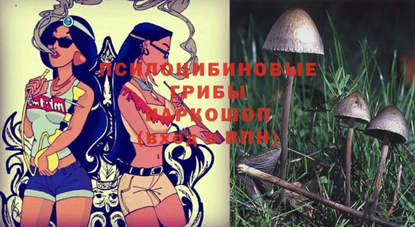 амф Абдулино